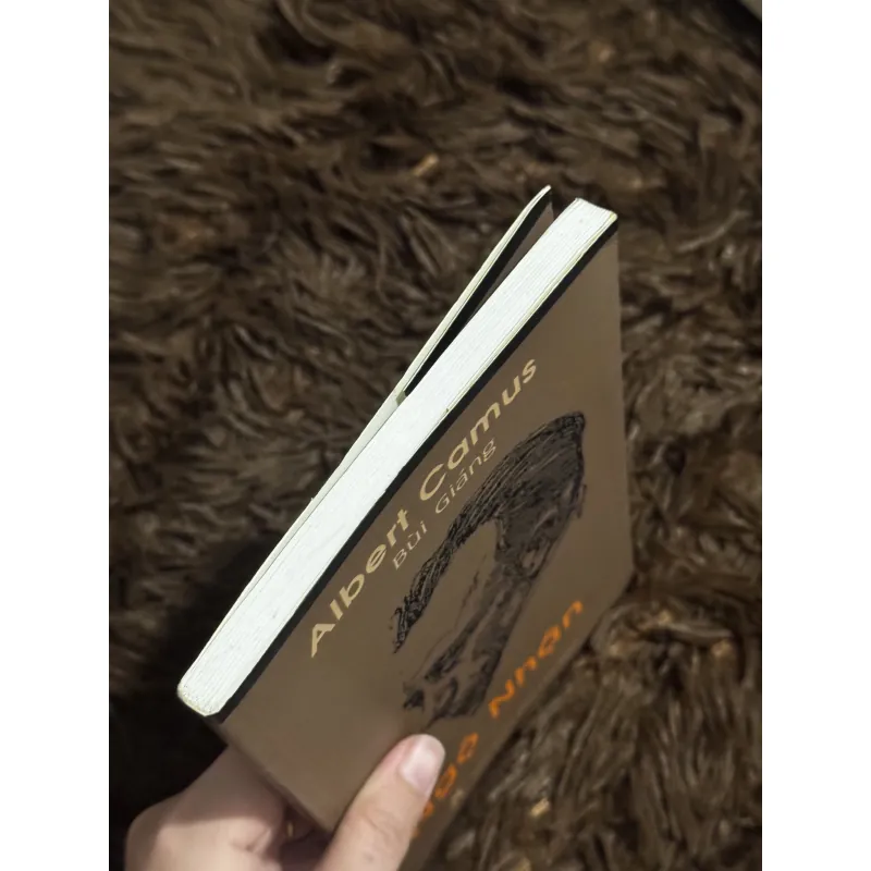 Ngộ nhận (Albert Camus) 1029301