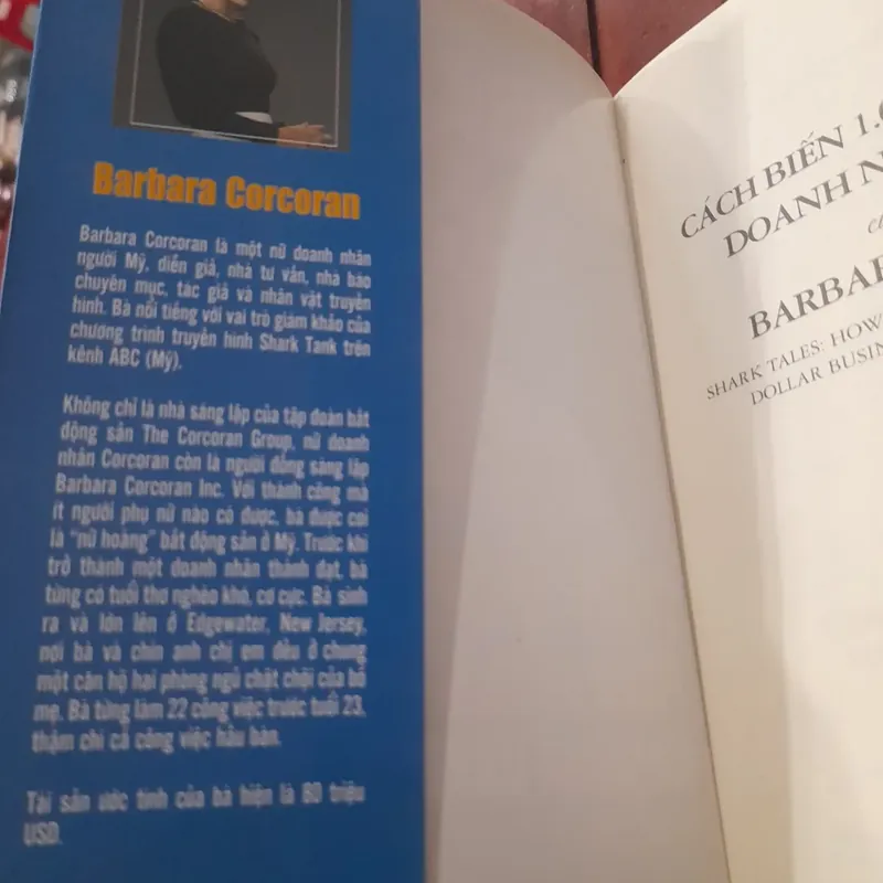 Cách biến 1000 USD thành DOANH NGHIỆP TỶ USD của Shark Barbara Corcoran 705139