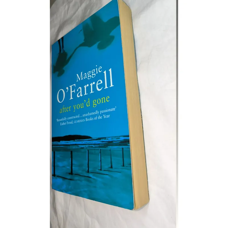 Ngoại văn cũ – After You’d Gone (Maggie O’Farrell) | Bìa mềm 748434