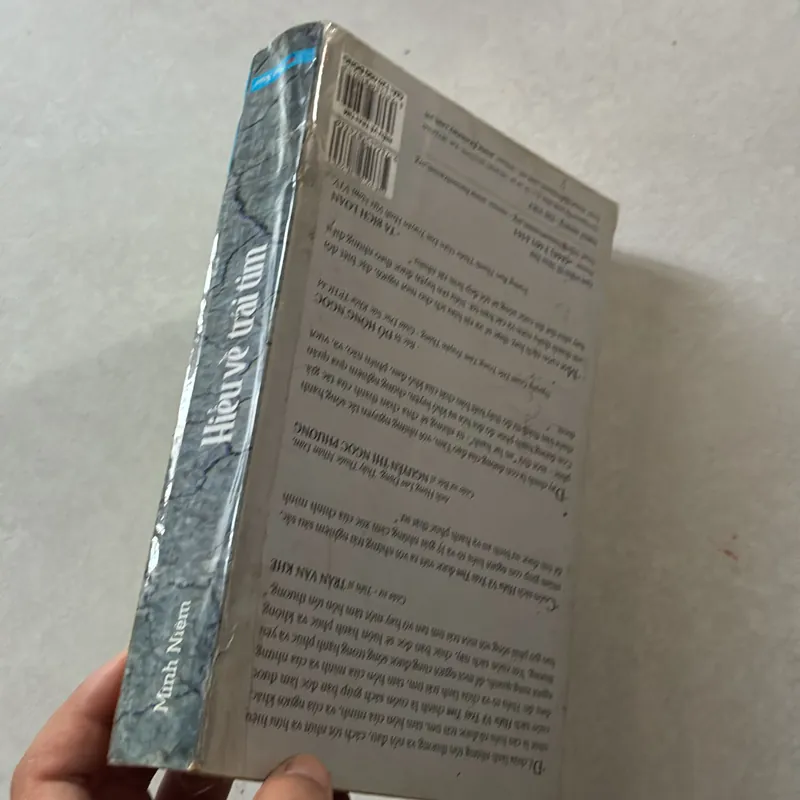 Hiểu về trái tim - Minh Niệm 738695