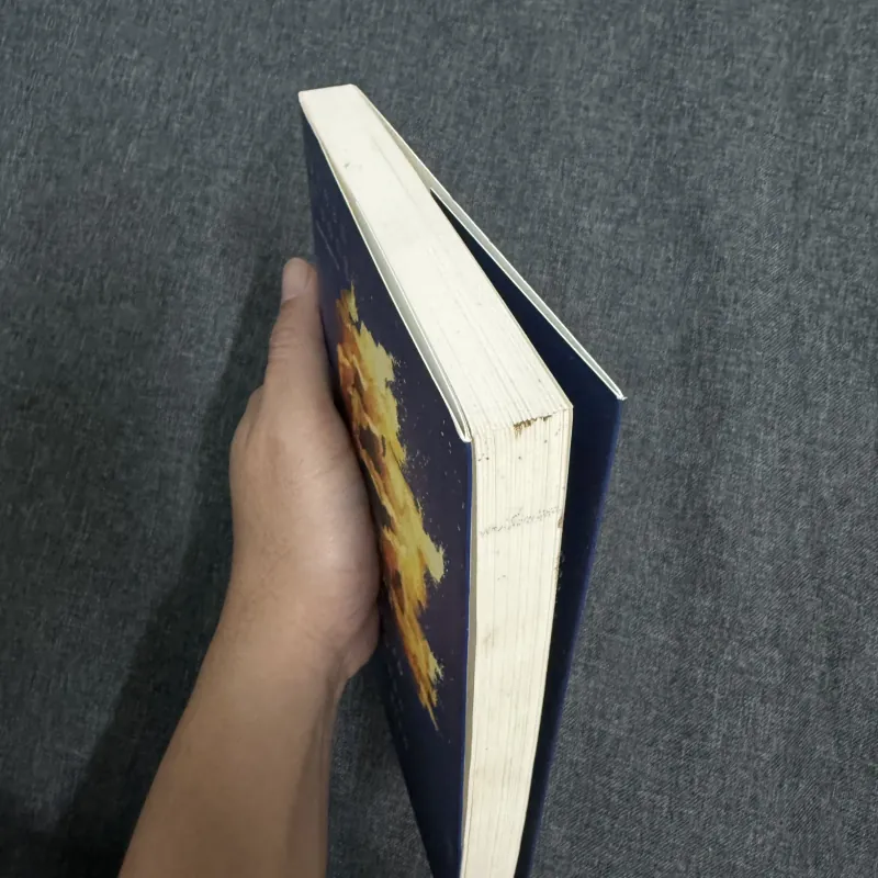 Một thoáng ta rực rỡ ở nhân gian - Ocean Vuong 757413