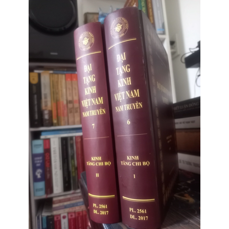 Nikaya - Kinh Tăng Chi Bộ (bộ 2 quyển)
 553023