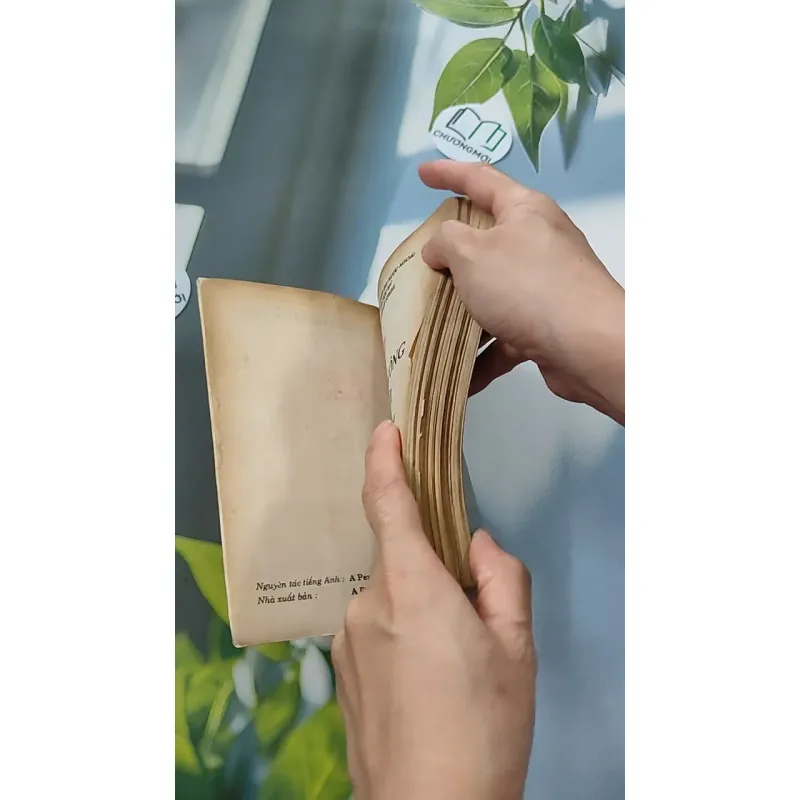 [XƯA] Người Đàn Ông Tuyệt Vời (1995) - Danielle Steel 776077