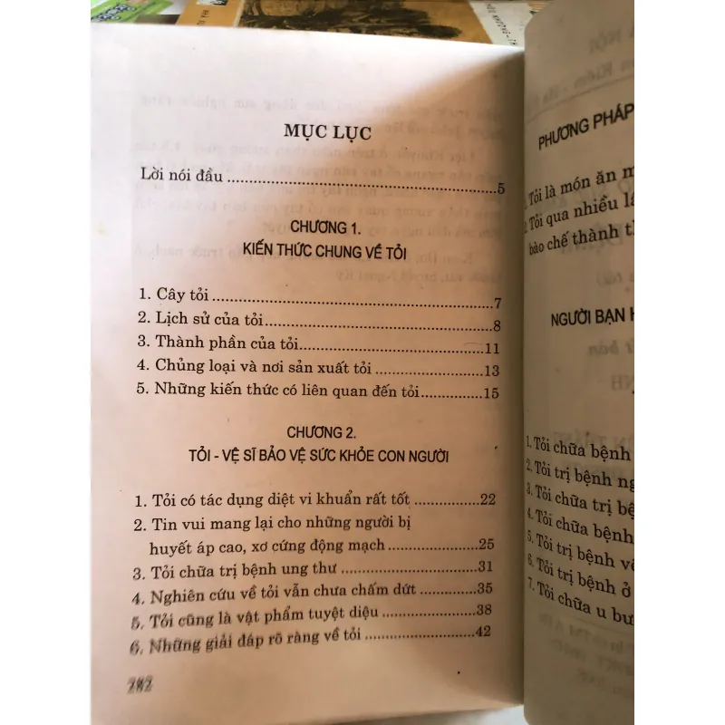 Tỏi chữa bách bệnh - Quỳnh Phương và Minh Đức biên soạn 977085