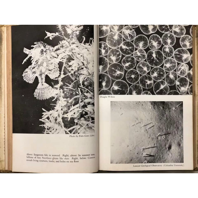 THE SEA AROUND US - Rachel L. Carson - Oxford University Press 1961  452847