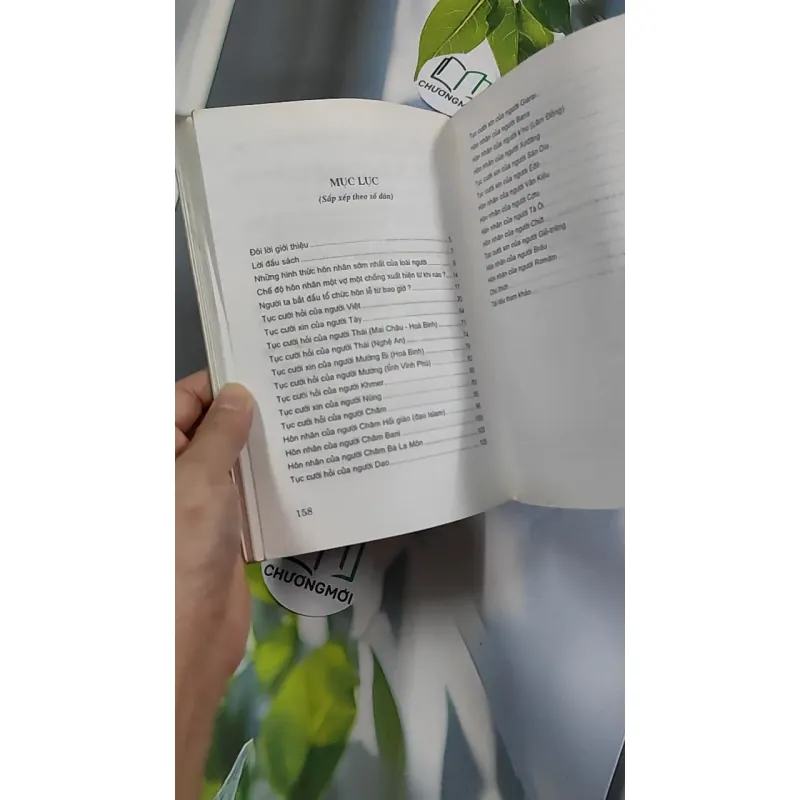 Tục Cưới Hỏi Ở Việt Nam - Bùi Xuân Mỹ - Phạm Minh Thảo 776168