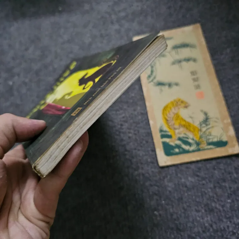 Nàng mèo - Colette 733910