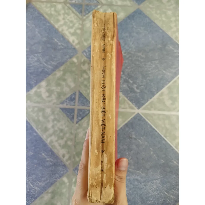 Hình luật đặc biệt Việt Nam - Hà Như Vinh 701493