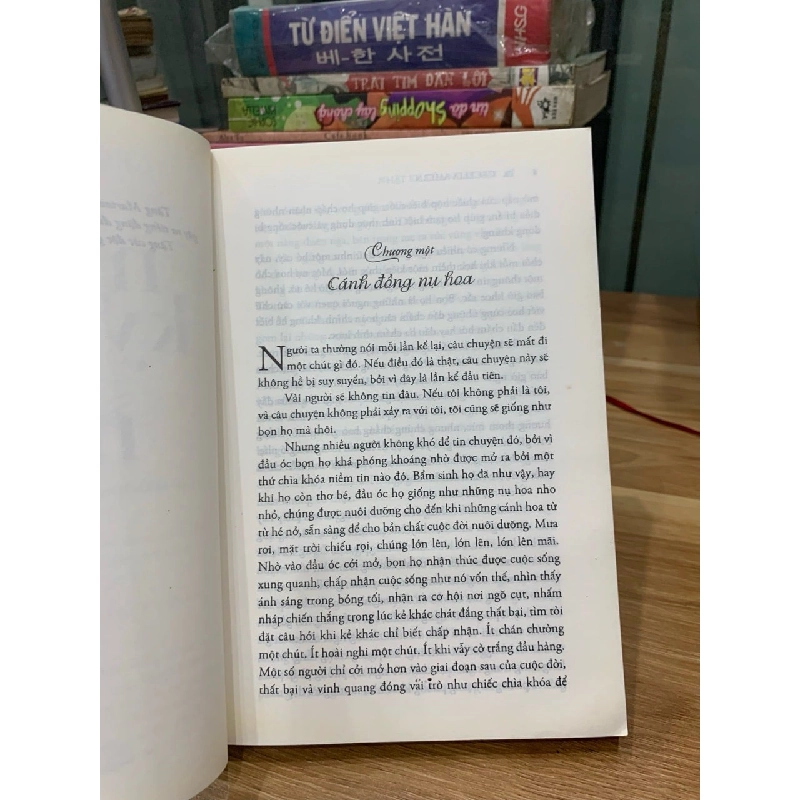 Nhật ký của ngày mai -Cecelia Ahern 751073