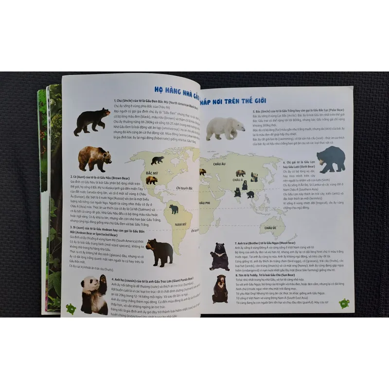 Bộ sách khám phá Việt Nam - Khám phá rừng Tam Đảo 737117