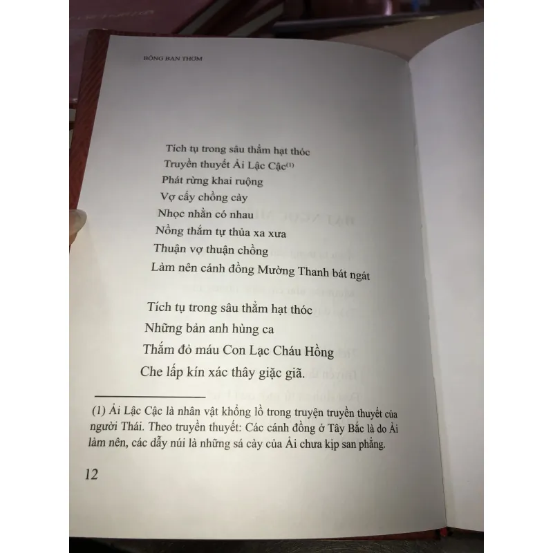 Bông ban thơm - Tòng Văn Hân 1037496