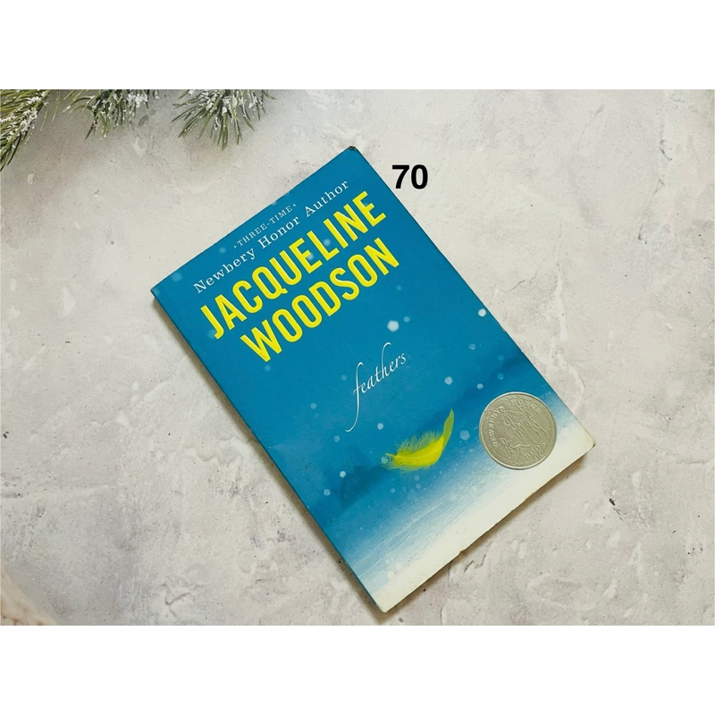 Ngoại văn thiếu nhi Feathers by Jacqueline Woodson 546372