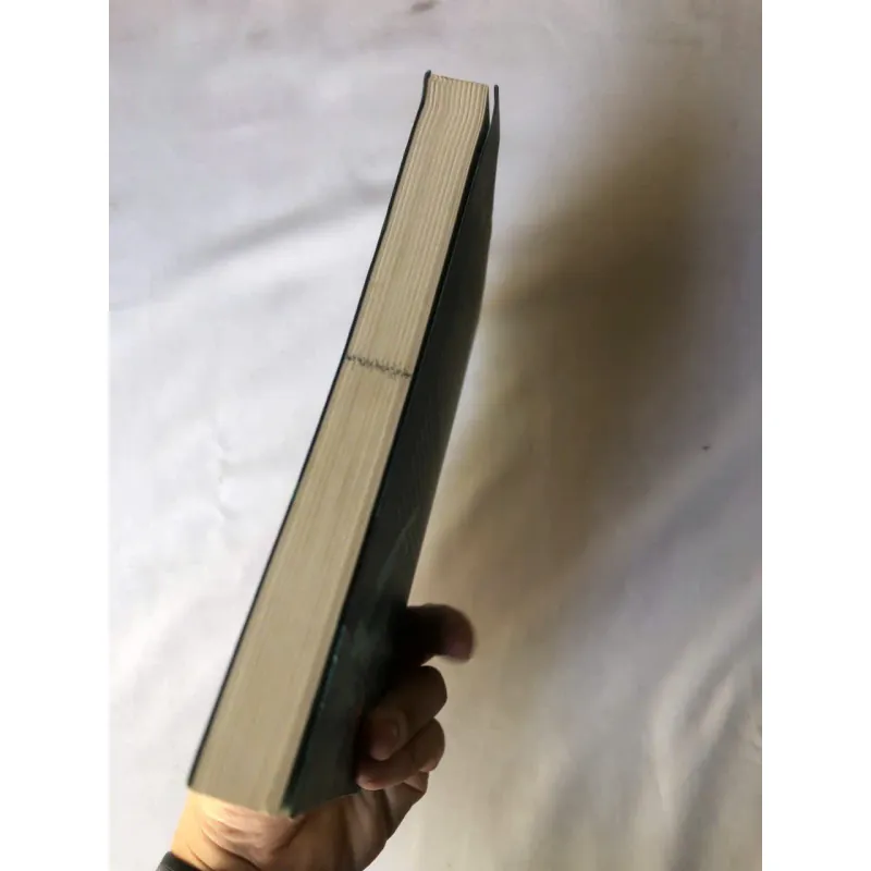 Sách đã qua sử dụng Hokkaido Mê Trận Án - Soji Shimada 788083