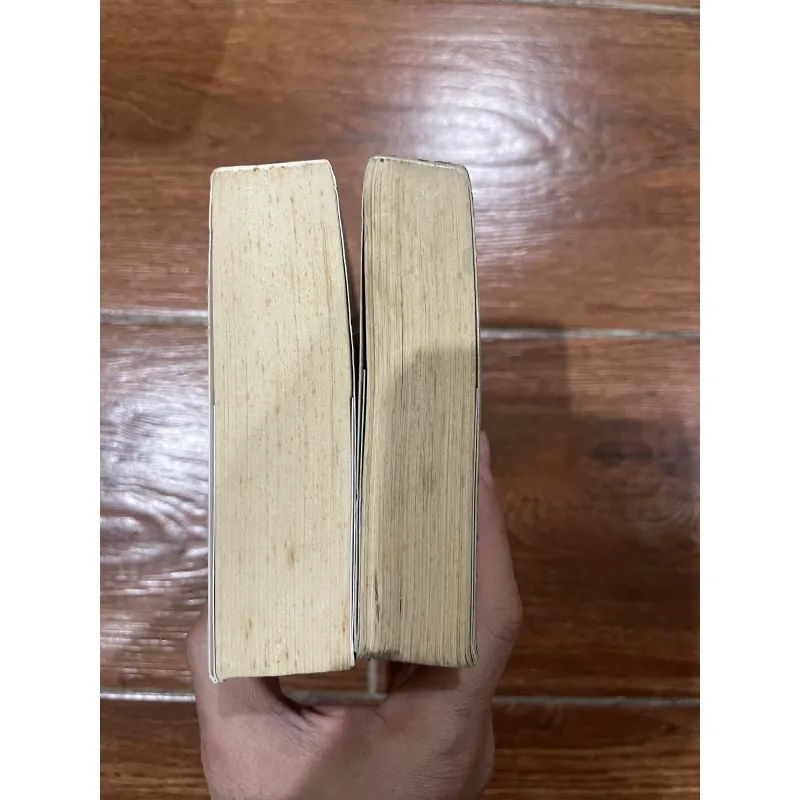 Hoả Kiếm 2 tập  744994