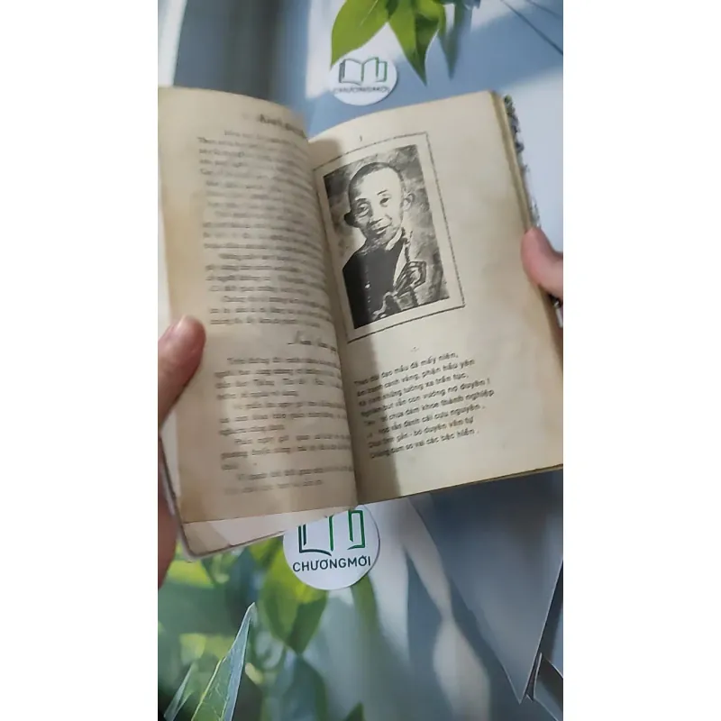 Cao Ly Đầu Hình 928568