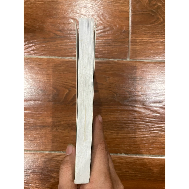 Cải cách và sự phát triển - Nguyễn Trần Bạt (9) 495610