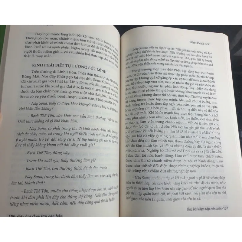 Tấm Lòng Son 702751