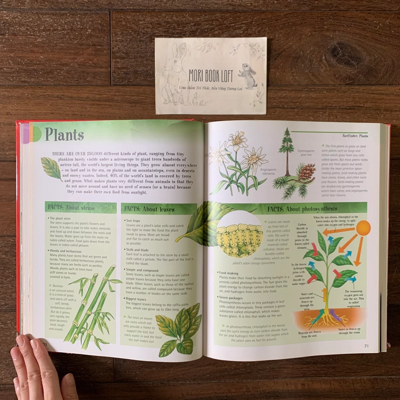 Sách ngoại văn The Big Book of Knowledge, Used, Bìa cứng, Siêu dày 542211