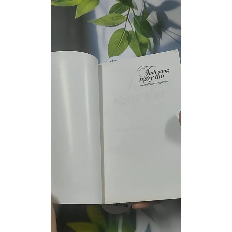 Bạn gái của thiếu gia - Kawi 688645