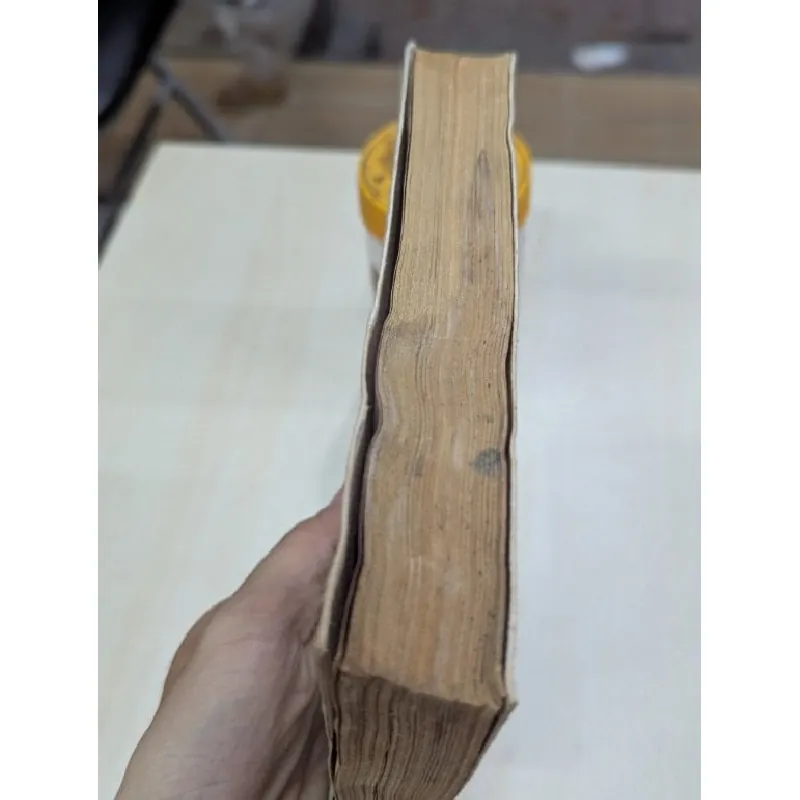 Lỗ Tấn nhà lý luận văn học - Phượng Lưu 696069