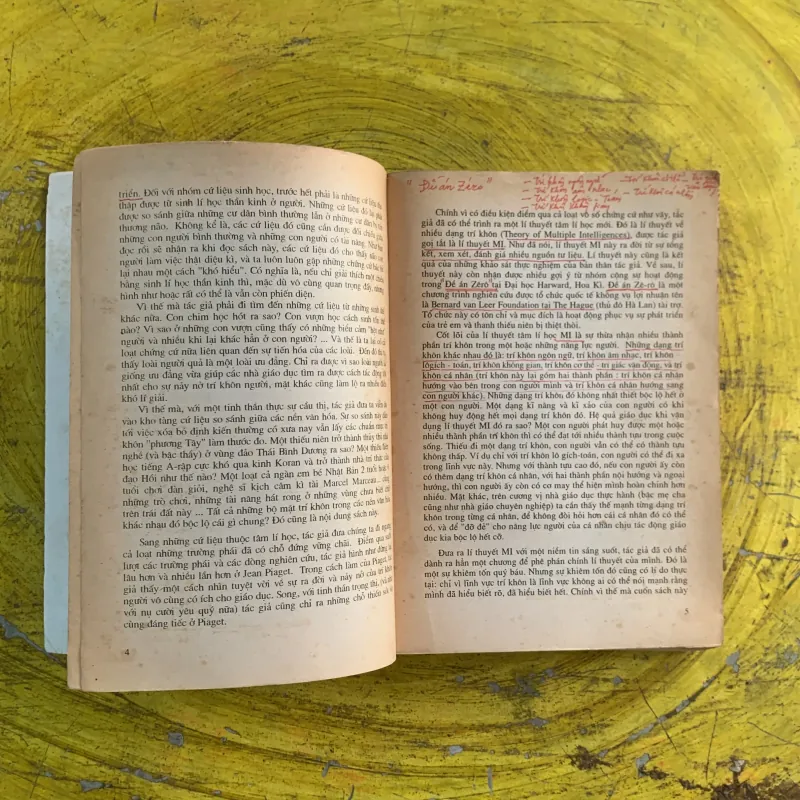  CƠ CẤU TRÍ KHÔN LÍ THUYẾT VỀ NHIỀU DẠNG TRÍ KHÔN- HOWARD GARDNER 991304