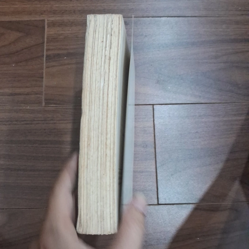 Người tình đầu tiên, người yêu cuối cùng 506180