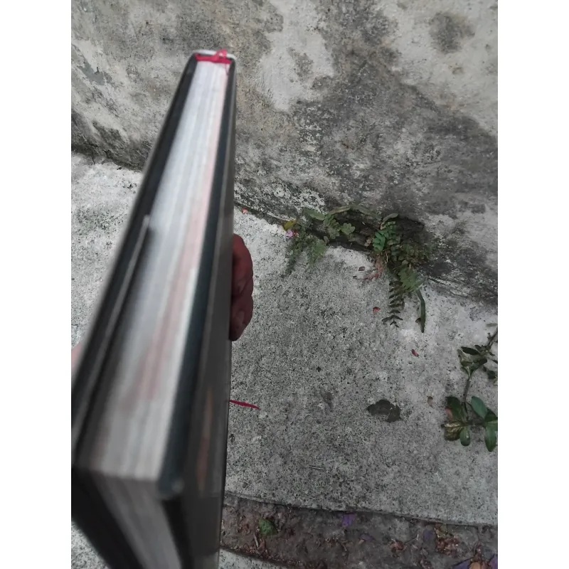 Tinh hoa mỹ thuật Việt truyền thống : hình tượng tiên nữ  1040684