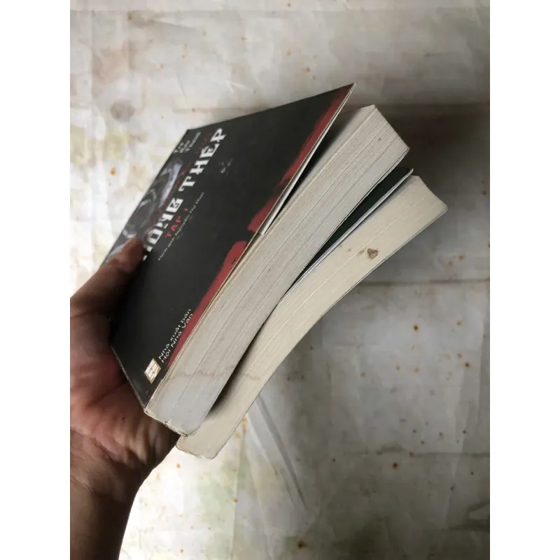 Hoa Hồng Thép (Bộ 2 Tập) - Trà Hựu Thanh 800723