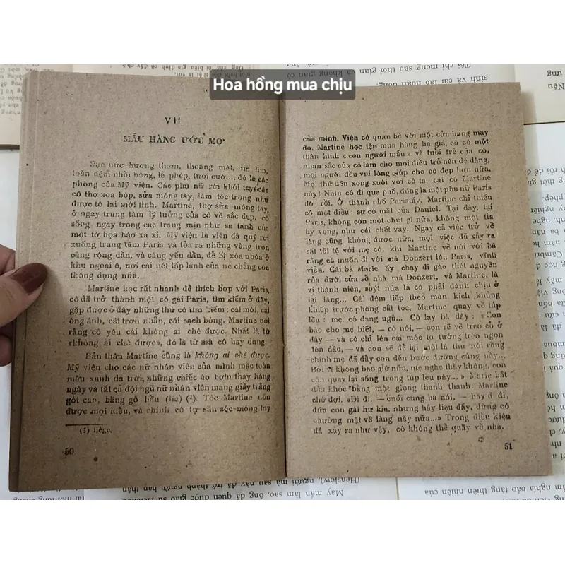 Tiểu thuyết HOA HỒNG MUA CHỊU (Elsa Triolet) 715182