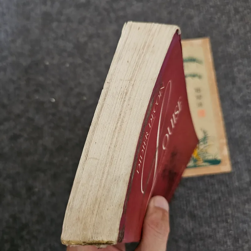 Louise - Didier Decoin 734447