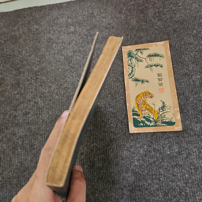 Màu xanh trong suốt - nhã thuyên - hoàng long 736917