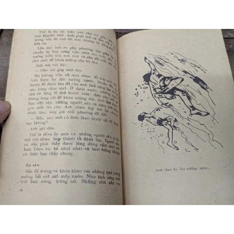 Quần đảo san hô - Hà Đình Cẩn 551865