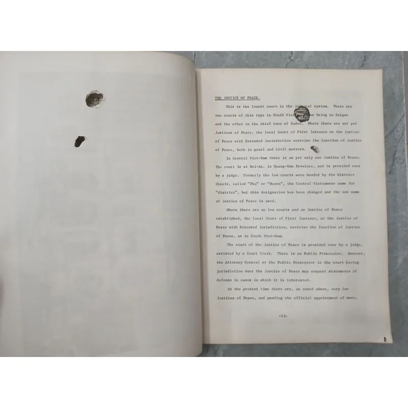 LEGAL SYSTEM - HỆ THỐNG PHÁP LUẬT 590773