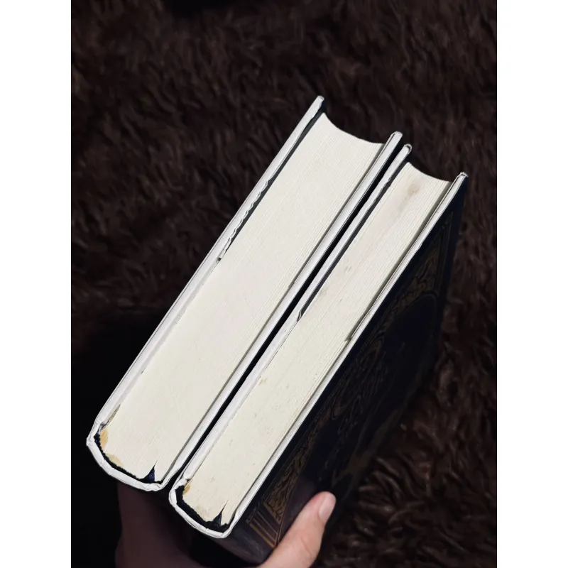 Combo không gia đình + đỉnh gió hú (bìa cứng) 998283