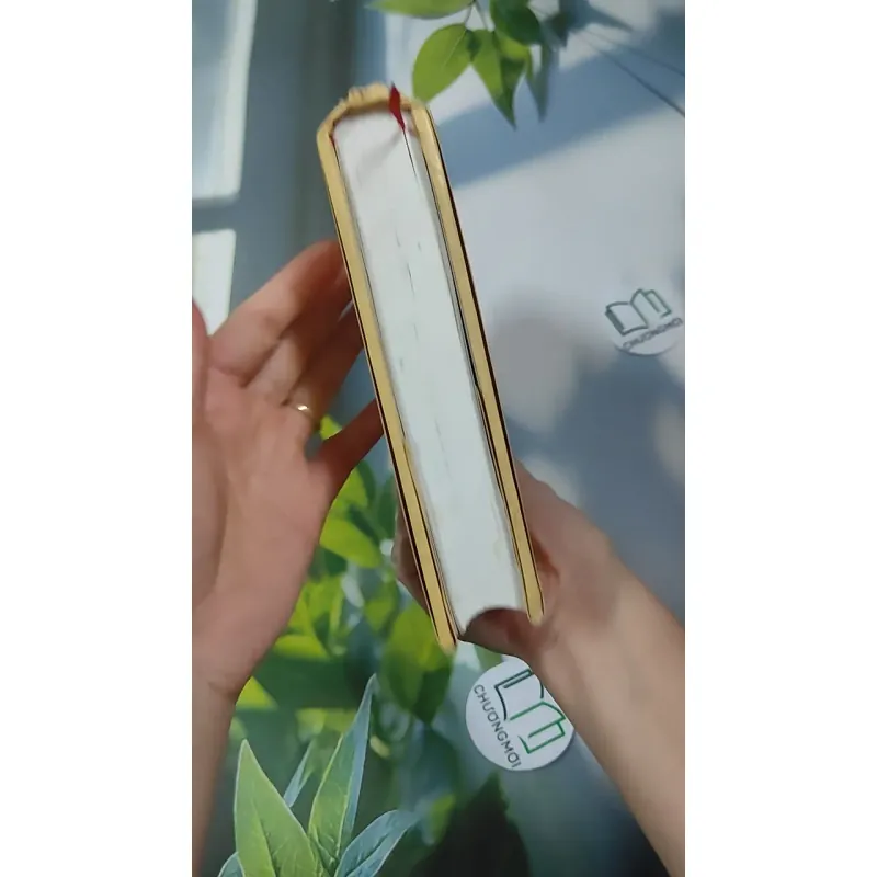 [MIỄN PHÍ BỌC SÁCH] Đinh Nho Hoàn - Thân Thế và Sự Nghiệp 990363