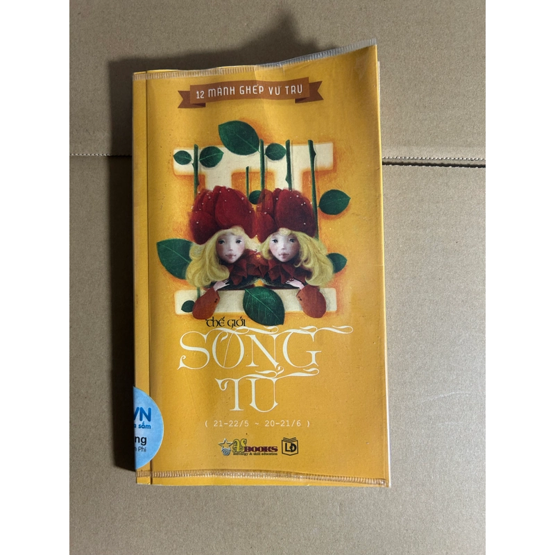 Thế giới Song tử 544220