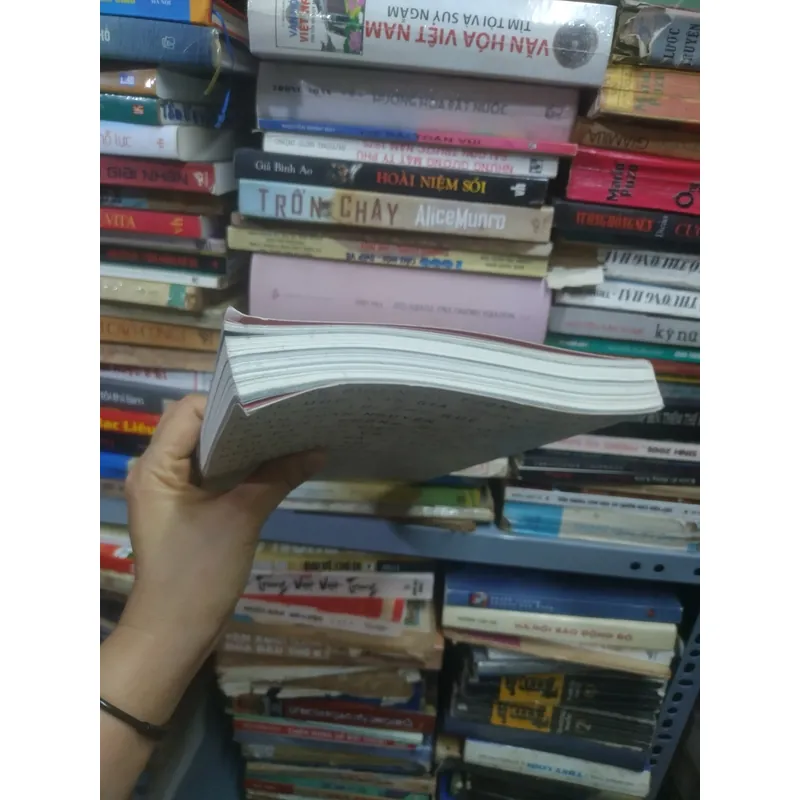 Viết và đọc chuyên đề mùa đông 2023 689505