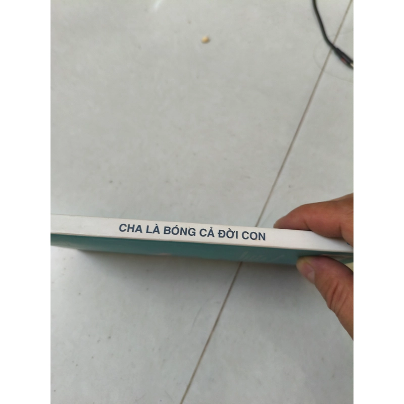 Cha là bóng cả đời con 407545