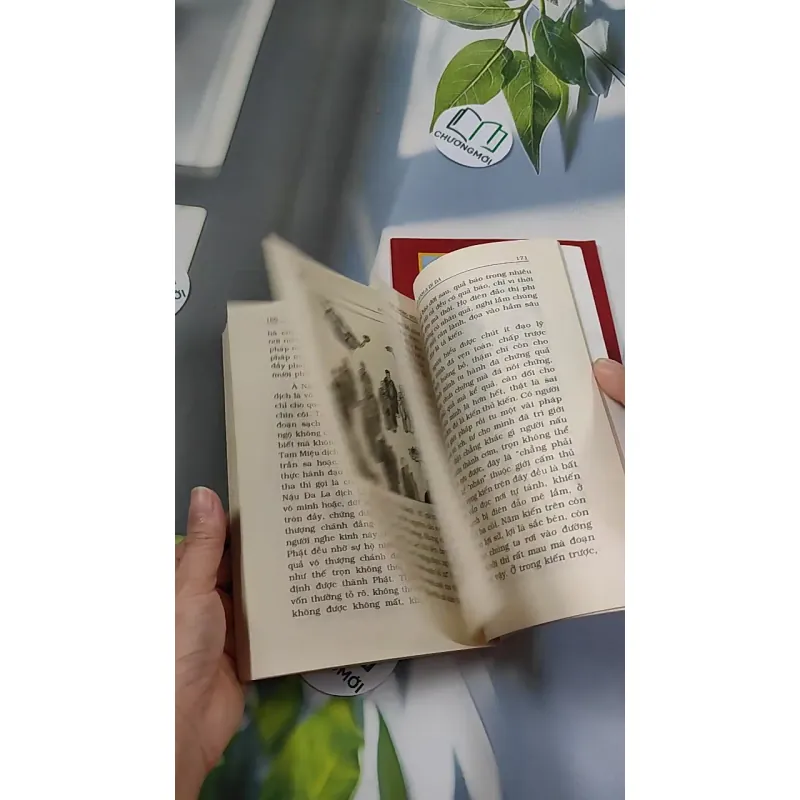 Lược Giải Kinh A Di Đà (Tặng Kinh A Di Đà Nghĩa) - Ngô Trọng Đức 776118