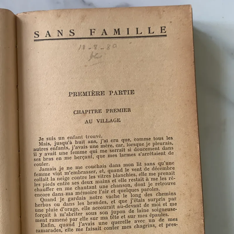 SANS FAMILLE, HECTOR MALOT, Tome 1-2, Không gia đình 715260