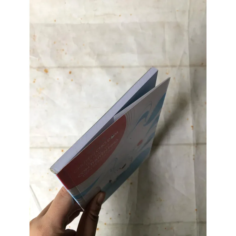 Chuyện Chó Đốm Lưu Lạc Và Con Thuyền Nhỏ Bên Bến Sông - Việt An 735760