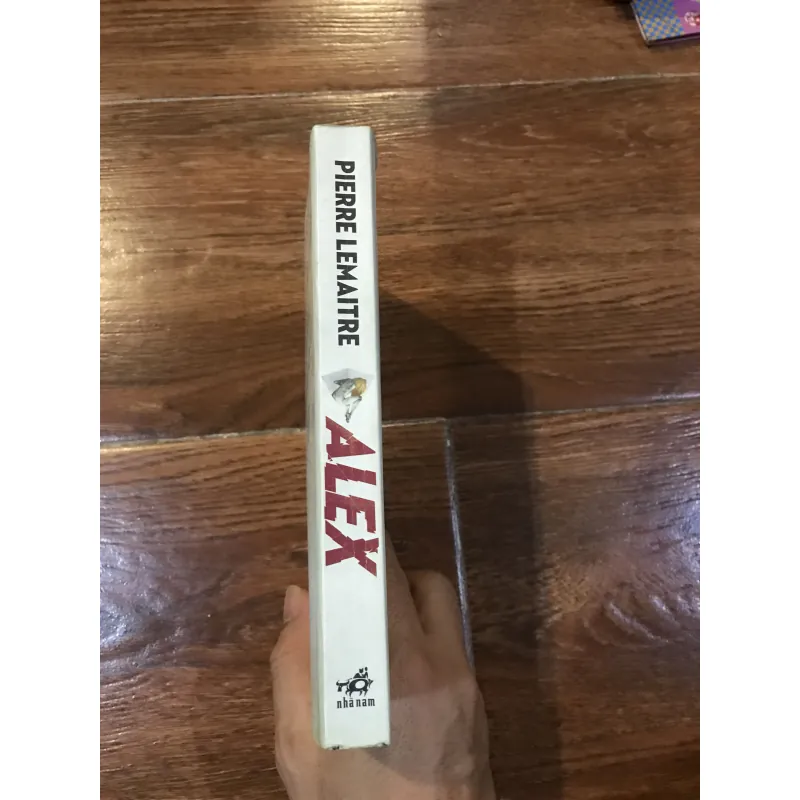 Alex - Pierre Lemaitre (6) 1002191