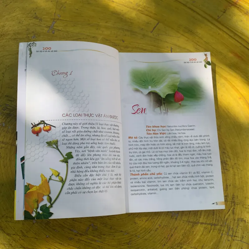 COMBO 200 LOẠI CÂY CÓ ÍCH CHO SỨC KHỎE & 54 BÀI THUỐC CHỮA BỆNH RAU QUẢ  787222