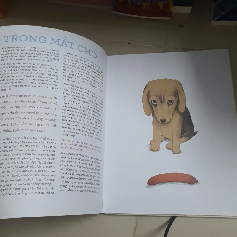 Chó và mèo dưới lăng kính khoa học 961681