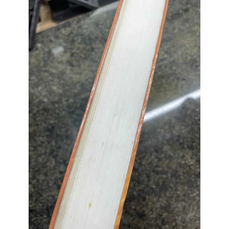 Albert Einstein Nhà bác học vĩ đại của nhân loại Albrecht Folsing 777996