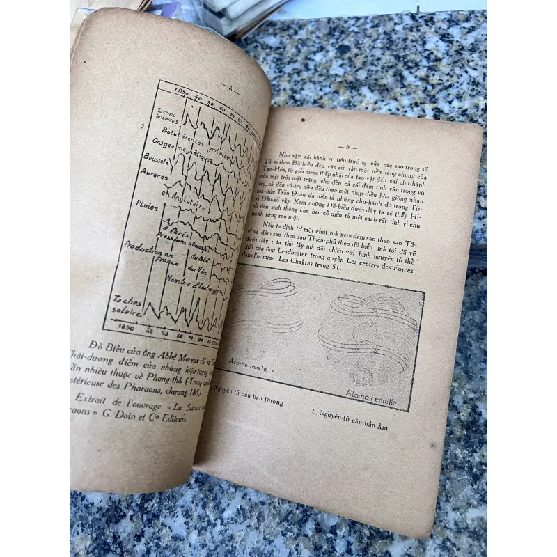 Tử vi đẩu sổ - Nguyễn Mạnh Bảo  785003