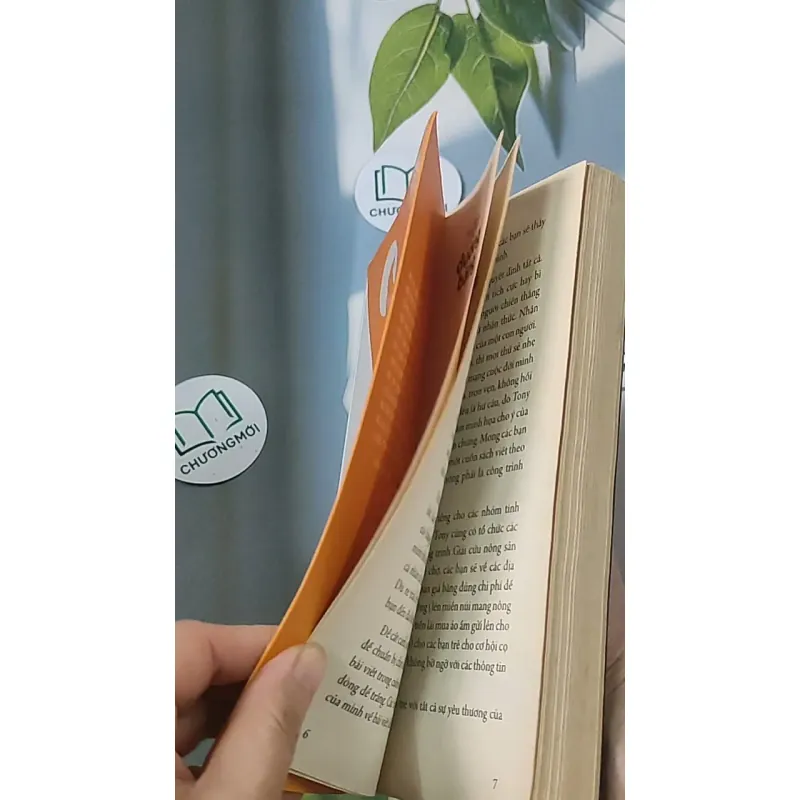 Trên đường băng - Tony Buổi Sáng 688509