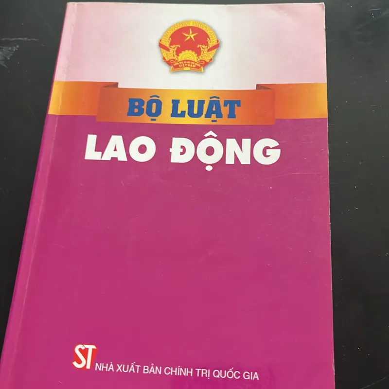 Bộ luật Lao động 2012 1029294