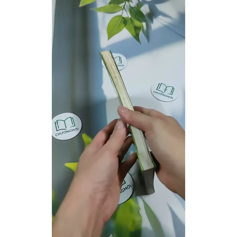 Phương Pháp Montessori - Nghệ Thuật Nuôi Dạy Trẻ Đỉnh Cao 705669