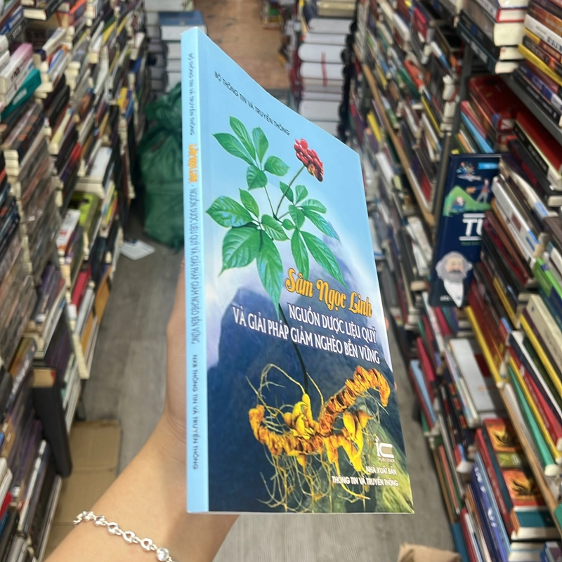 Sâm ngọc linh- nguồn dược liệu quý và giải pháp giảm nghèo bền vững 553049